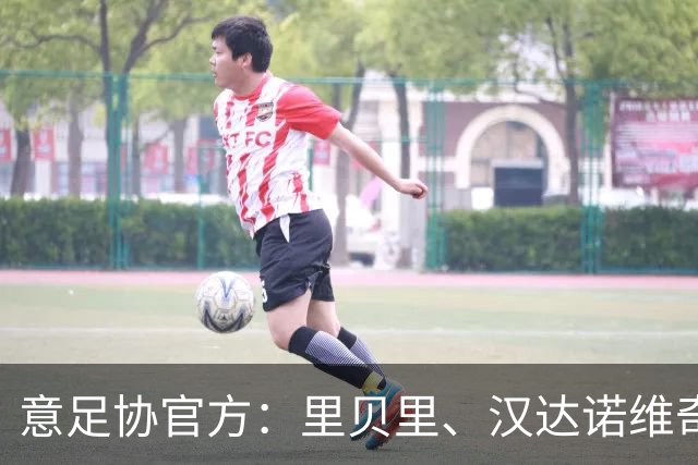 意足协官方：里贝里、汉达诺维奇，迪亚曼蒂等获欧足联职业教练证